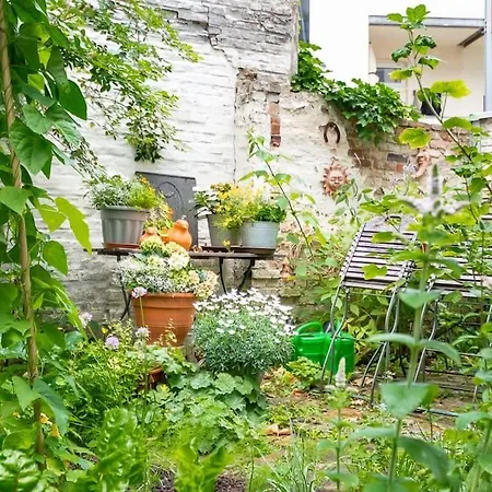 Altbaucharme Deluxe In Zentraler Lage *